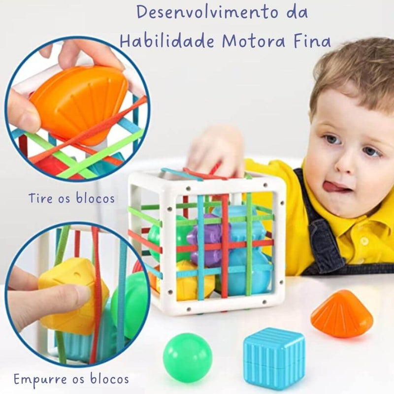 Gaiola Mágica Educativa Blocos de Encaixe Montessori