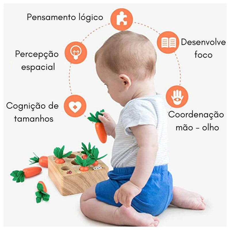 Caixa de Cenoura Educativa Sensorial Montessori em Madeira