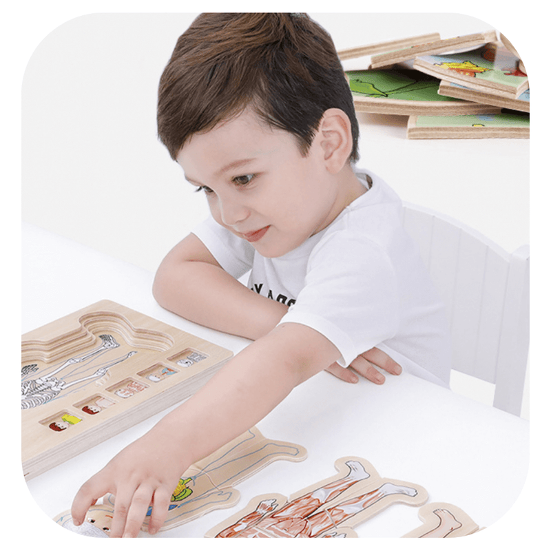 brinquedos-educativos-sensorial-corpo-humarno-crianças-aprender-aprender-facil-educacional-educação-em casa